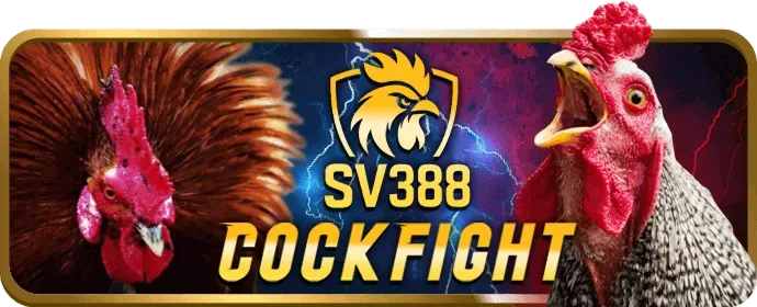 Đá gà cựa sắt kịch tính tại 88king login